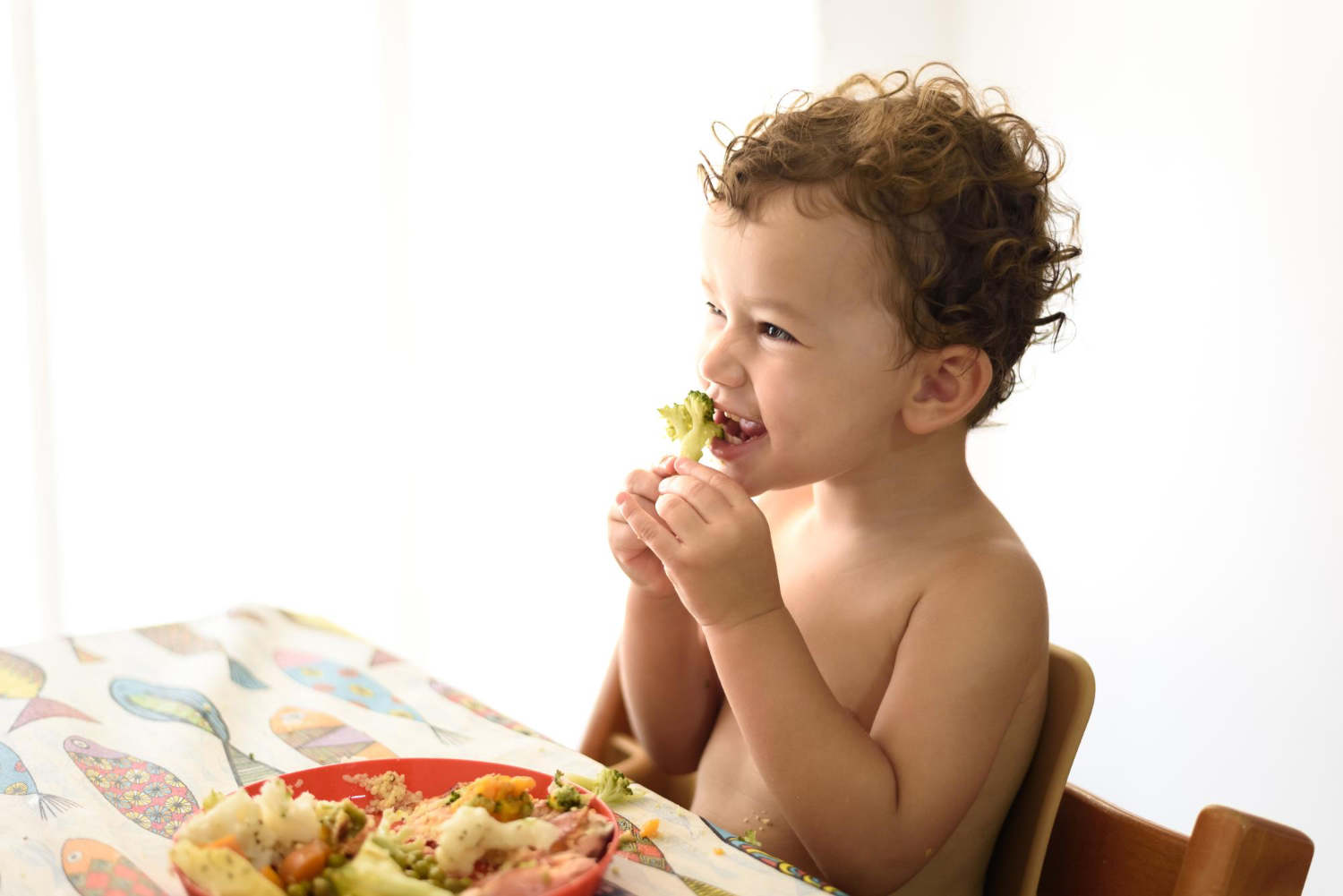 Niño pequeño sentado a la mesa, comiendo un trozo de brócoli, sonriendo y riendo.