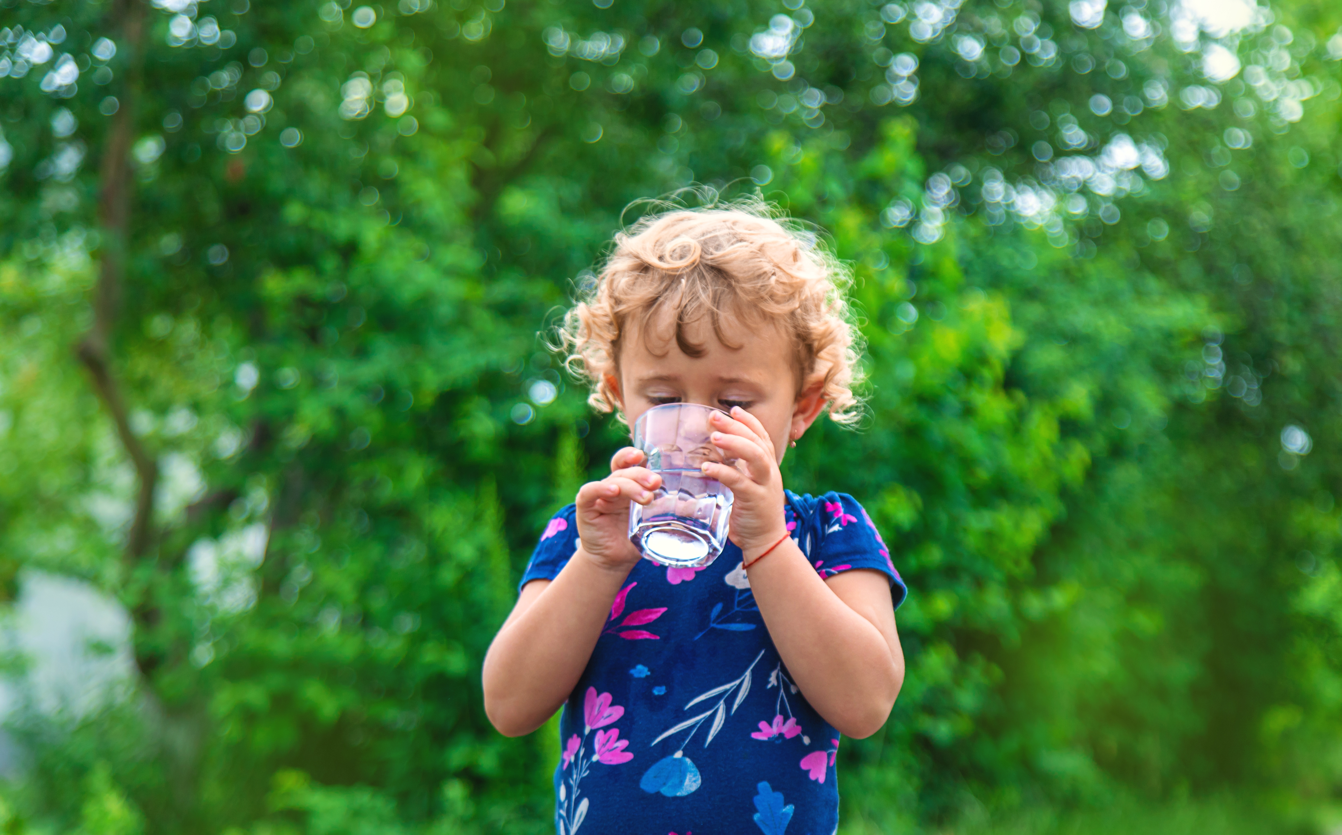 Un niño pequeño bebe agua de un pequeño vaso de vidrio mientras está afuera con un fondo de árbol verde brillante.